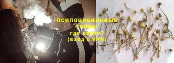 apvp Абдулино