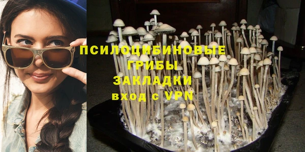 соль курить ск Абаза